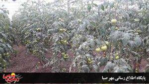 عملکرد یکساله انجمن حمایت زندانیان شهرستان میانه در سال 1400.