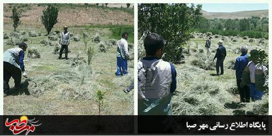 پنجه در پنجه فقر/ اینجا اهالی روستا همه جهادگرند