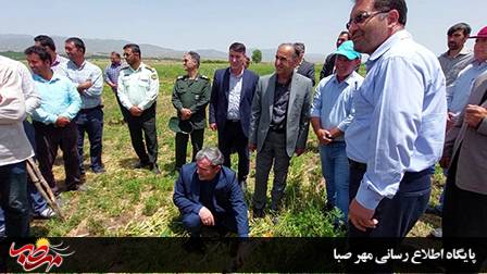 آبیاری تحت فشار در ۶/۵ هکتار از مزارع شهرستان میانه افتتاح شد