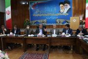 فرماندار ویژه میانه: لزوم افزایش سهمیه آرد شهرستان با توجه به افزایش جمعیت روستایی بویژه در تابستان