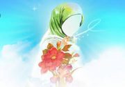 شعر ترکی؛انقلاب و حجاب