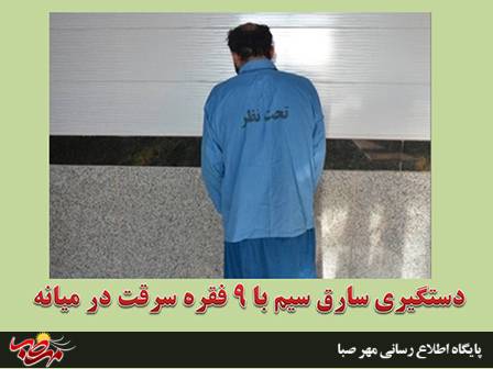دستگیری سارق سیم برق با ۹ فقره سرقت در ” میانه