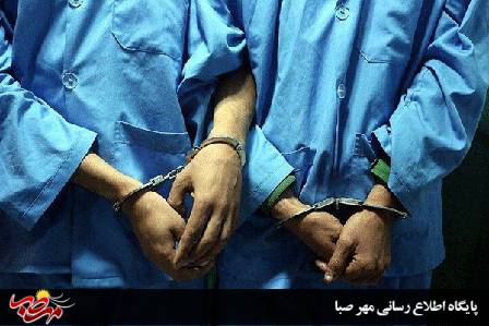 سارقان دوچرخه در ” میانه” دستگیر شدند