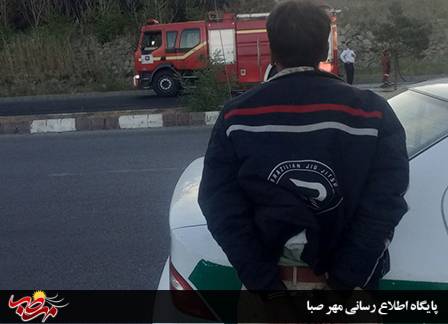عاملان آتش‌ سوزی پارک جنگلی میانه دستگیر شد
