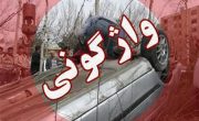 واژگونی سواری سمند با یک فوتی در میانه
