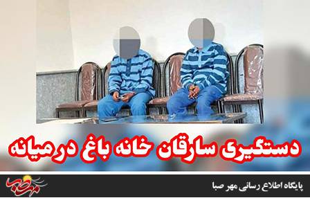 دستگیری سارقان خانه باغ در “میانه”