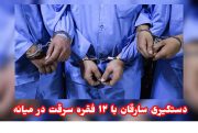 دستگیری سارقان با ۱۲ فقره سرقت در میانه