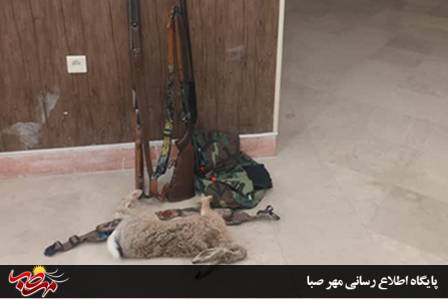 گروه شکارچیان در چنگال محیط بانان شجاع میانه