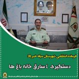 دستگیری ۴سارق و کشف ۷فقره سرقت خانه باغ در “میانه”