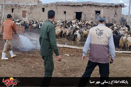 خدمات رایگان دامپزشکی و دامپروری به روستائیان مناطق محروم ارائه شد