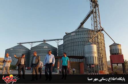 افزایش ۲۰ درصدی تولید گندم در شهرستان میانه نسبت به سال گذشته