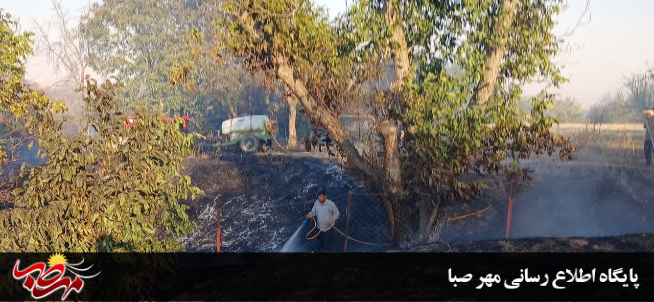 بعد از دو روز عملیات اطفای حریق، آتش باغات روستای ایشلق مهار شد 2