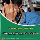 دستگیری عامل قدرت نمایی توسط پلیس شهرستان میانه