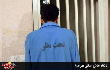 دستگیری سارق خانه باغ و منزل توسط پلیس میانه