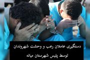 دستگیری عاملان رعب و وحشت شهروندان توسط پلیس شهرستان میانه