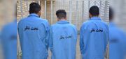 دستگیری ۳سارق و کشف ۷ فقره سرقت توسط پلیس میانه