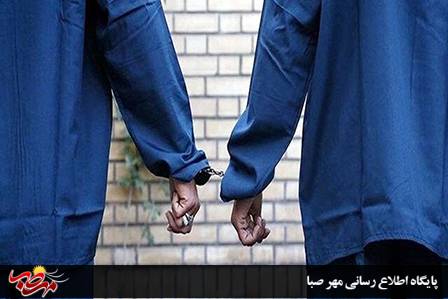 دستگیری سارقان و کشف ۶ فقره سرقت توسط پلیس “میانه”