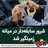 شرور سابقه‌دار در میانه زمینگیر شد