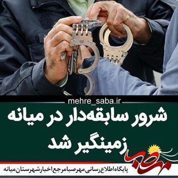 شرور سابقه‌دار در میانه زمینگیر شد