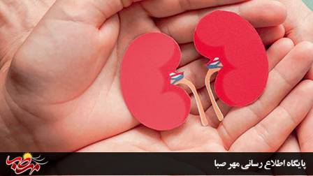 ناجی ندیده‌ام، دوستت دارم