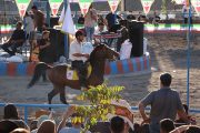 اولین جشنواره کشوری شو سواره «جام سبلان» به میزبانی باشگاه سوارکاری قافلان شهرستان میانه برگزار شد