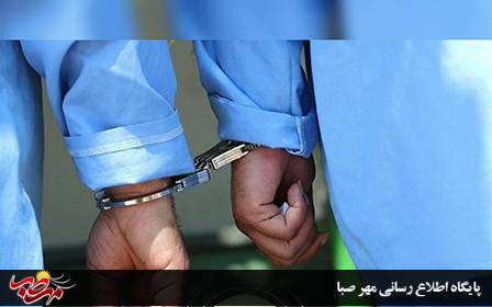 دستگیری سارقان و کشف ۸ فقره سرقت توسط پلیس “میانه”