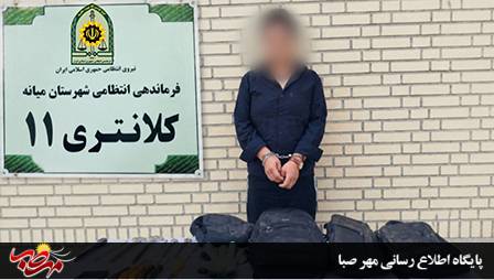 سارق محتویات خودرو با ۵ فقره سرقت در میانه دستگیر شد