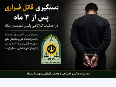 پایان سه ماه فرار؛ قاتل جاده سرچم در دام پلیس میانه