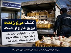 کشف بیش از ۳ تن مرغ زنده خارج از شبکه توزیع در میانه