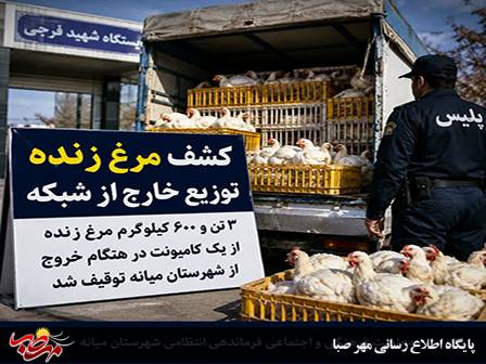 کشف بیش از ۳ تن مرغ زنده خارج از شبکه توزیع در میانه