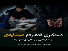 کلاهبردار ۲۰ میلیارد تومانی در دام کارآگاهان پلیس آگاهی میانه