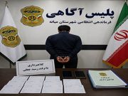 دستگیری کلاهبردار با ترفند رسید جعلی در میانه