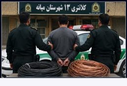 سرقت در پوشش خانواده در میانه لو رفت؛ سارق حرفه‌ای سیم و کابل برق دستگیر شد