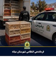 توقیف کامیونت حامل ۱۹۰۰ قطعه مرغ زنده غیرمجاز در میانه