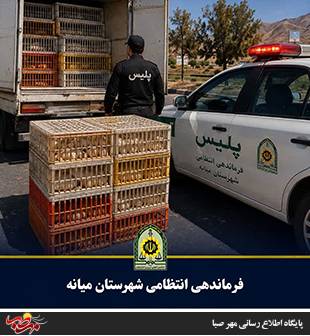 توقیف کامیونت حامل ۱۹۰۰ قطعه مرغ زنده غیرمجاز در میانه