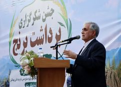 اسماعیلی نماینده میانه و ترکمانچای بر حمایت از برنج‌کاران و تأمین آب کشاورزی تأکید کرد