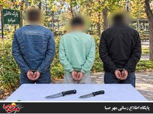 دستگیری ۳ نفر به اتهام برهم زدن نظم عمومی در پارک دانش میانه