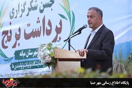 فرماندار ویژه میانه در جشن شکرگزاری برداشت برنج بر تثبیت الگوی کشت و حمایت از کشاورزان تأکید کرد